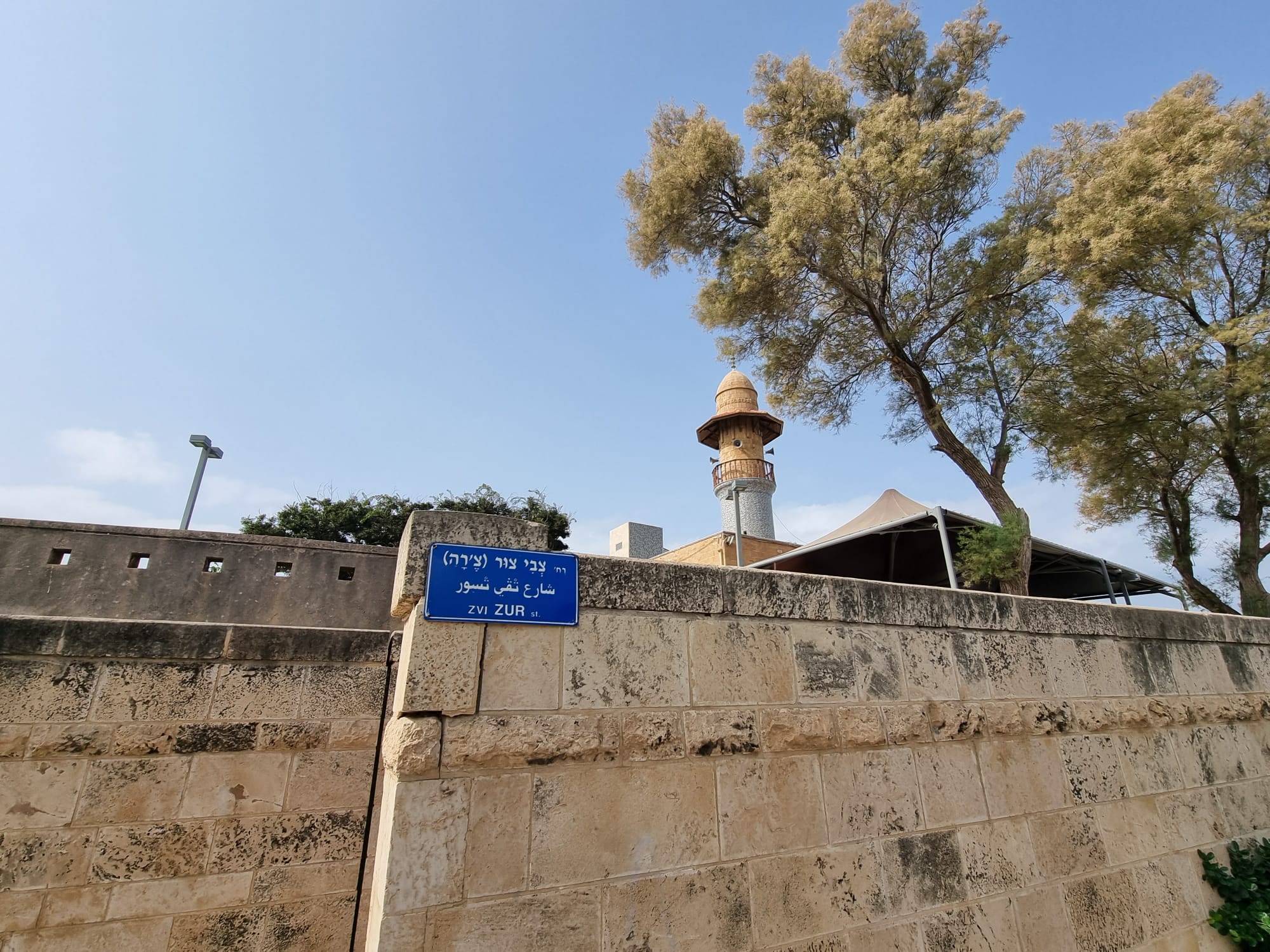 WhatsApp Image 2022-08-30 at 12.03.55 PM.jpeg